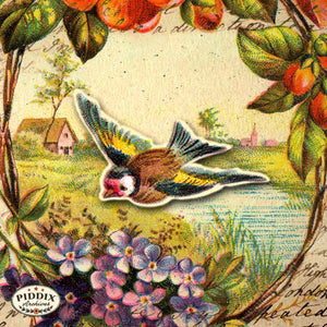 Pdxc5123 -- Flora & Fauna Original Collage