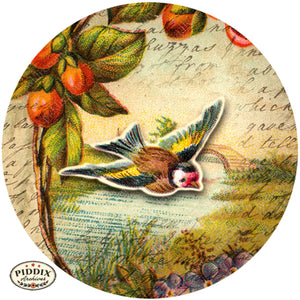 Pdxc5123 -- Flora & Fauna Original Collage