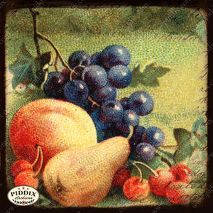Pdxc5125 -- Flora & Fauna Original Collage