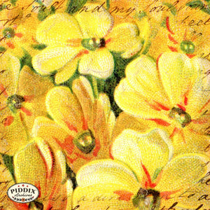 Pdxc5126 -- Flora & Fauna Original Collage