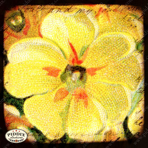 Pdxc5126 -- Flora & Fauna Original Collage