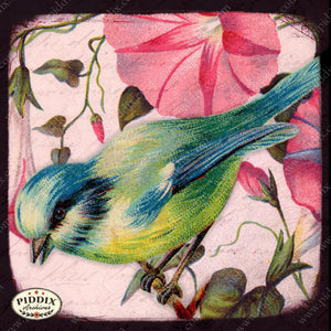 Pdxc5127 -- Flora & Fauna Original Collage