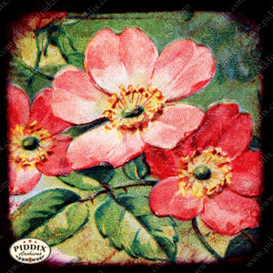 Pdxc5129 -- Flora & Fauna Original Collage