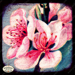 Pdxc5130 -- Flora & Fauna Original Collage