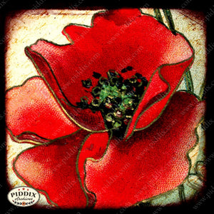 Pdxc5131 -- Flora & Fauna Original Collage