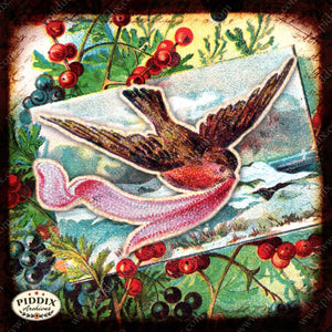 Pdxc5132 -- Flora & Fauna Original Collage