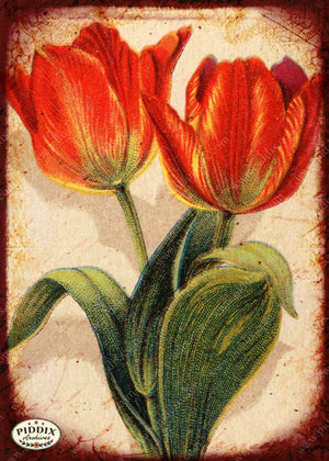 Pdxc5133 -- Flora & Fauna Original Collage