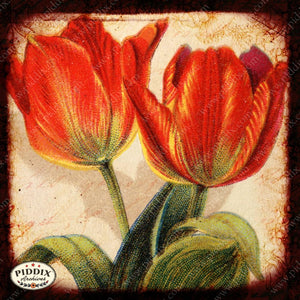 Pdxc5133 -- Flora & Fauna Original Collage