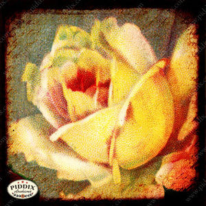 Pdxc5134 -- Flora & Fauna Original Collage