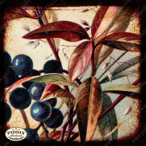 Pdxc5135 -- Flora & Fauna Original Collage