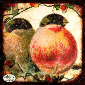 Pdxc5136A B & C -- Flora Fauna Original Collage