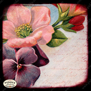 Pdxc5140 -- Flora & Fauna Original Collage