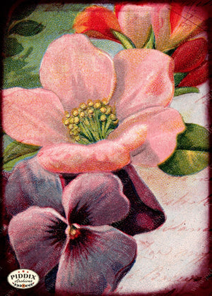 Pdxc5140 -- Flora & Fauna Original Collage