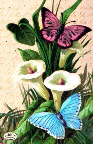 Pdxc5143 -- Flora & Fauna Original Collage