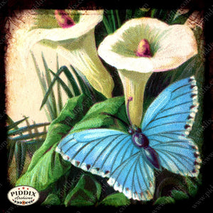 Pdxc5143 -- Flora & Fauna Original Collage