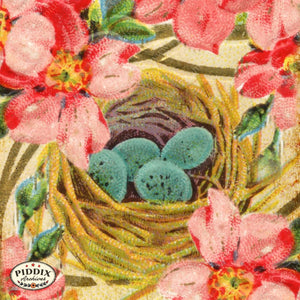 Pdxc5147 -- Flora & Fauna Original Collage