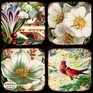 Pdxc5149A -- Flora & Fauna Original Collage