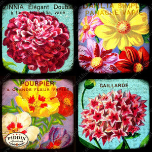 Pdxc5154A -- French Seed Packets Original Collage