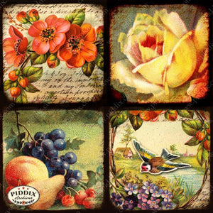 Pdxc5158A -- Flora & Fauna Original Collage
