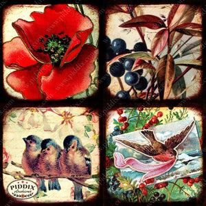 Pdxc5159A -- Flora & Fauna Original Collage