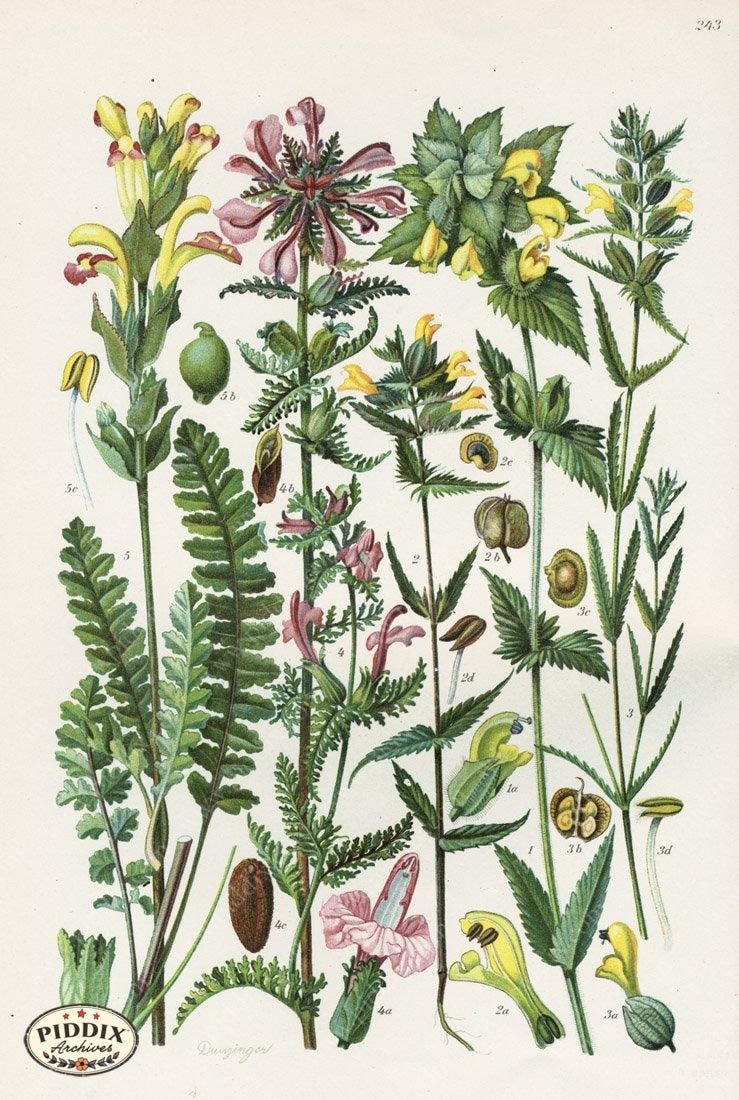 Pdxc5253 -- New For June Color Illustration