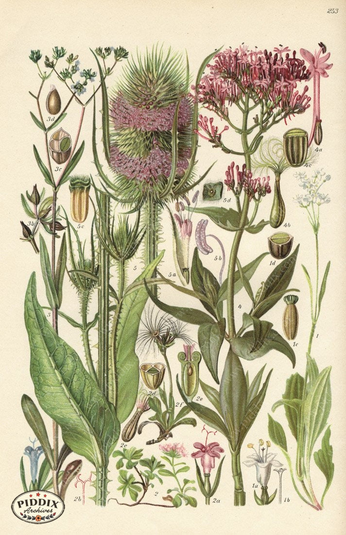 Pdxc5257 -- New For June Color Illustration