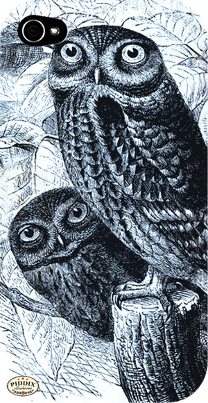 Pdxc5368B -- Birds Color Illustration