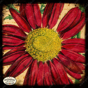 Pdxc5444 -- Flora & Fauna Original Collage