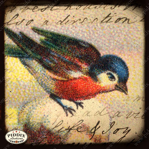 Pdxc5446 -- Flora & Fauna Original Collage