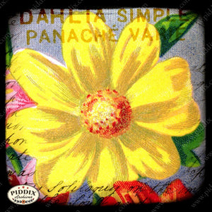 Pdxc5454 -- French Seed Packets Original Collage