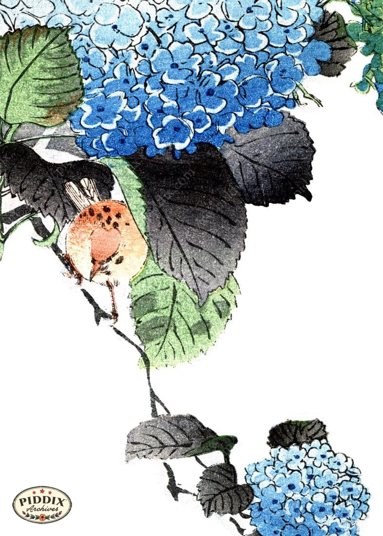 Pdxc5467 -- New For June Color Illustration