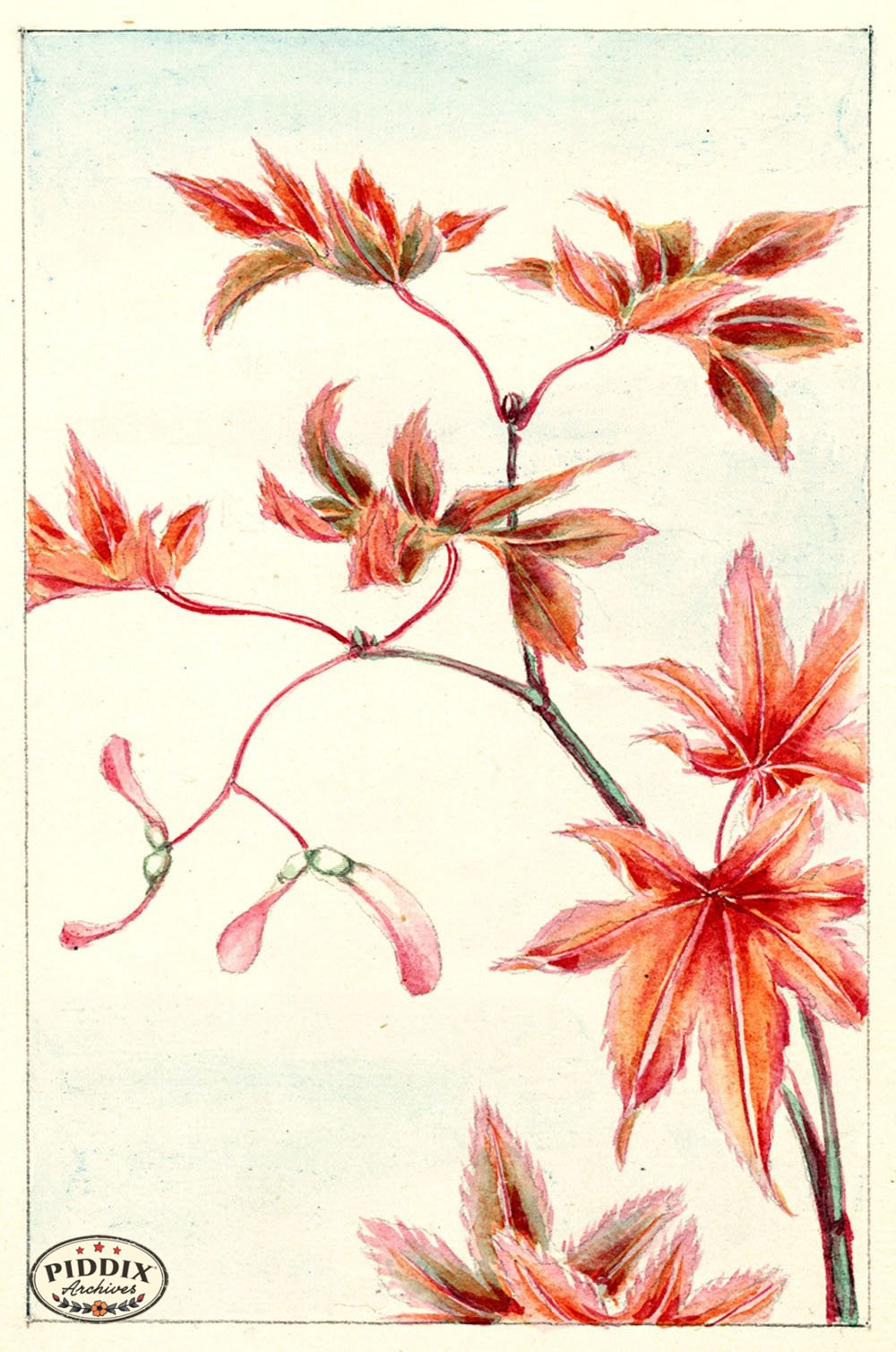 Pdxc5483 -- Japanese Watercolors Watercolor