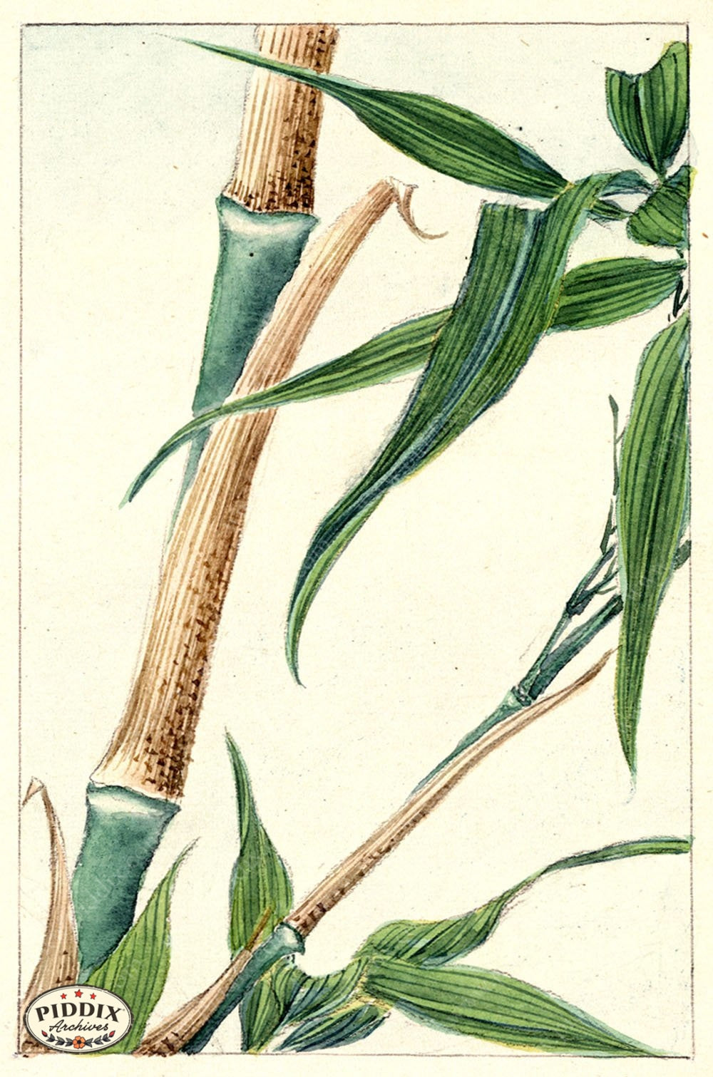 Pdxc5490 -- Japanese Watercolors Watercolor