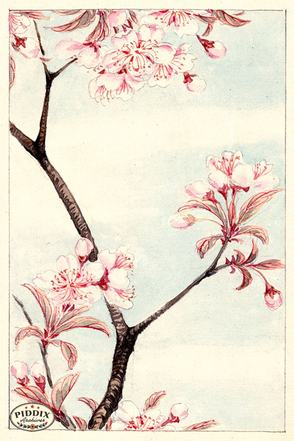 Pdxc5493 -- Vintage Watercolor Florals