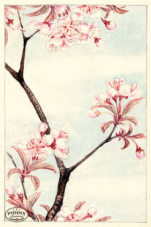Pdxc5493 -- Vintage Watercolor Florals