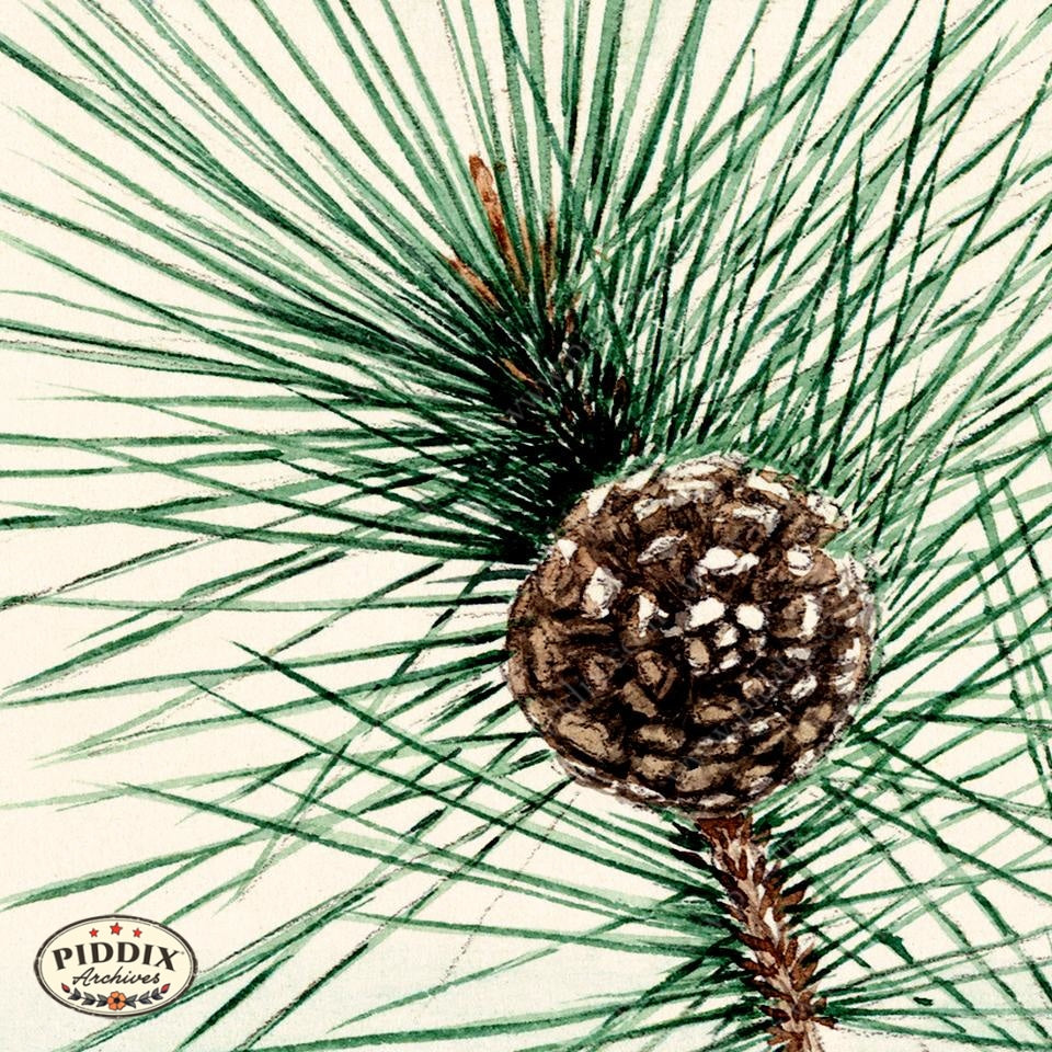 Pdxc5495 -- Japanese Watercolors Watercolor