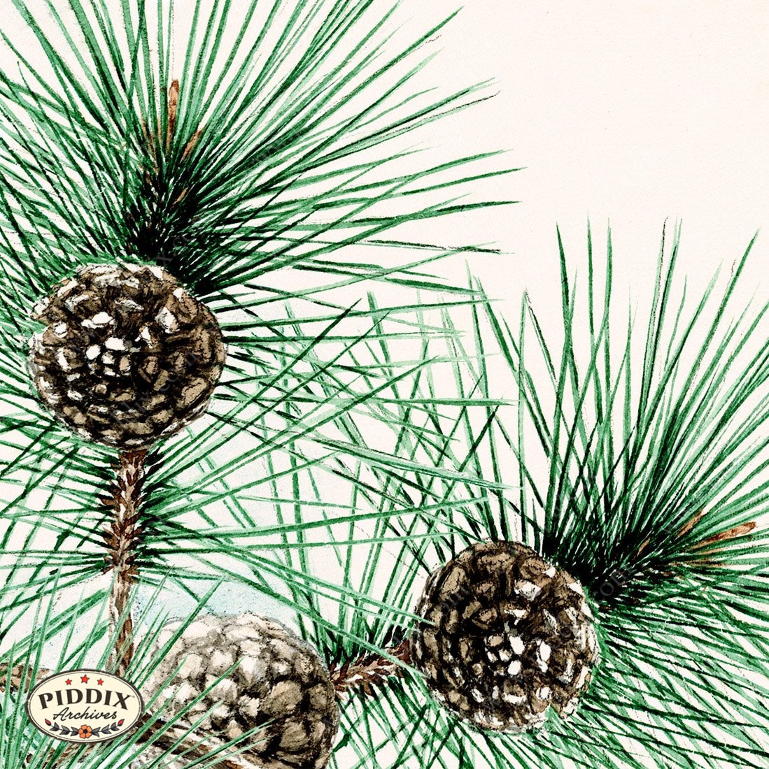 Pdxc5495 -- Japanese Watercolors Watercolor