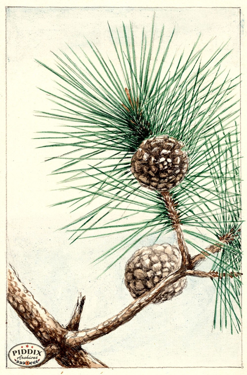 Pdxc5495 -- Japanese Watercolors Watercolor