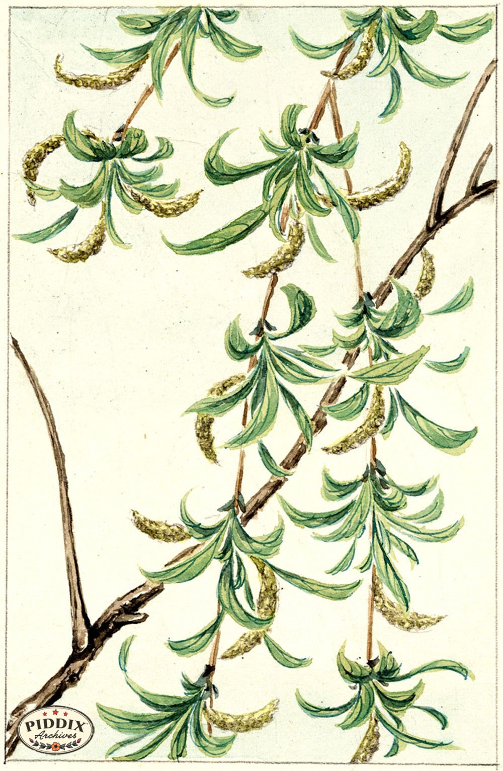 Pdxc5497 -- Japanese Watercolors Watercolor