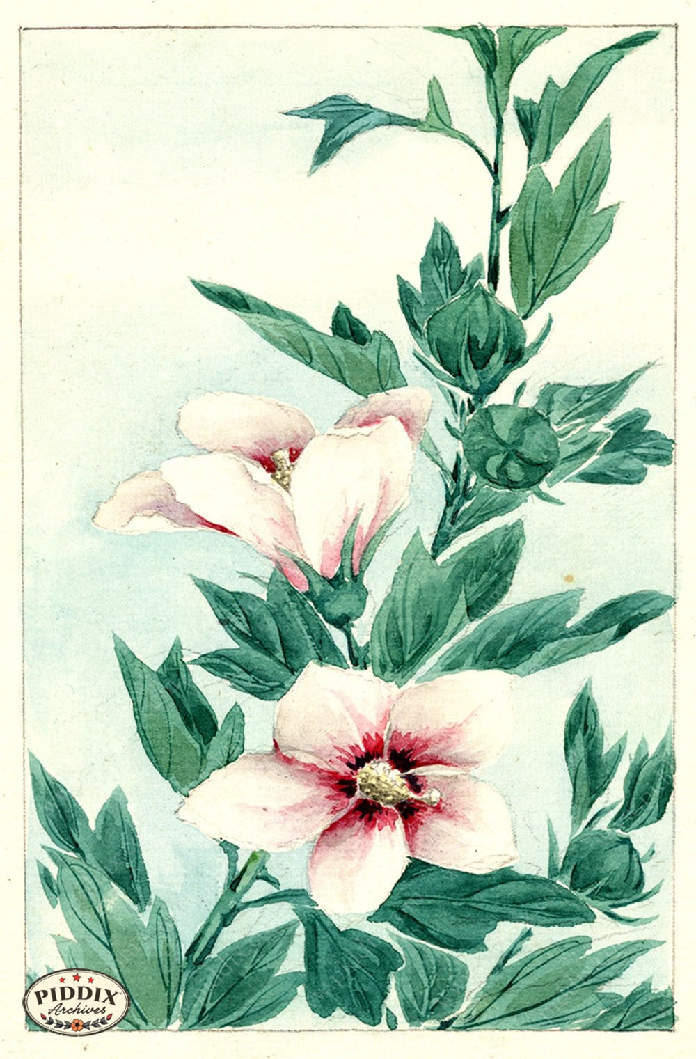 Pdxc5500 -- Vintage Watercolor Florals