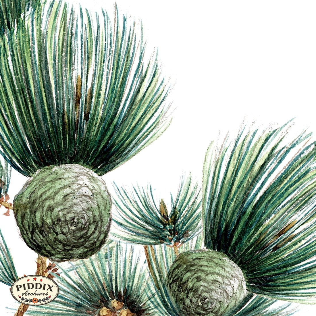 Pdxc5501 -- Japanese Watercolors Watercolor