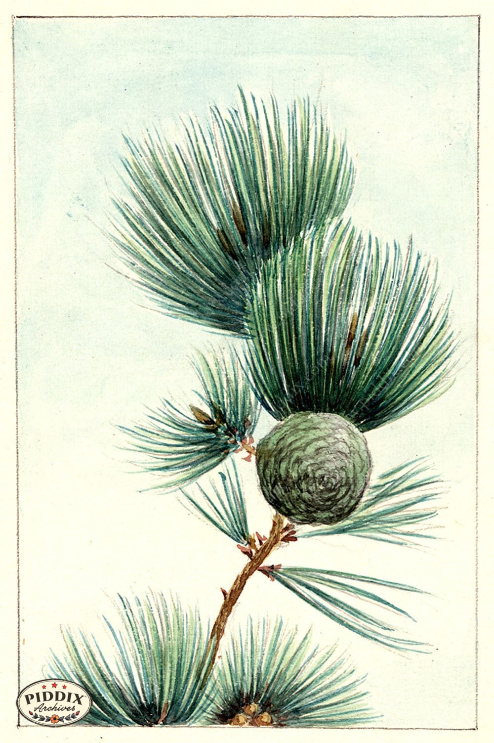 Pdxc5501 -- Japanese Watercolors Watercolor