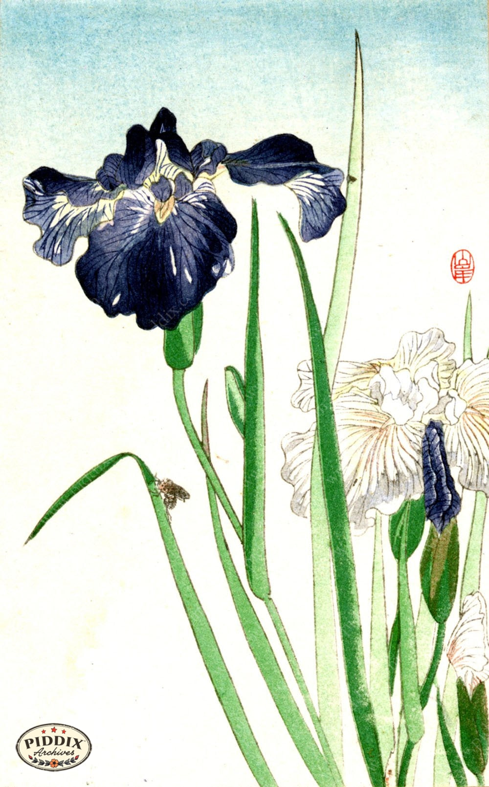 Pdxc5506 -- Japanese Watercolors Watercolor