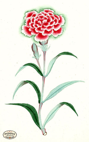 Pdxc5516 -- Japanese Watercolors Watercolor