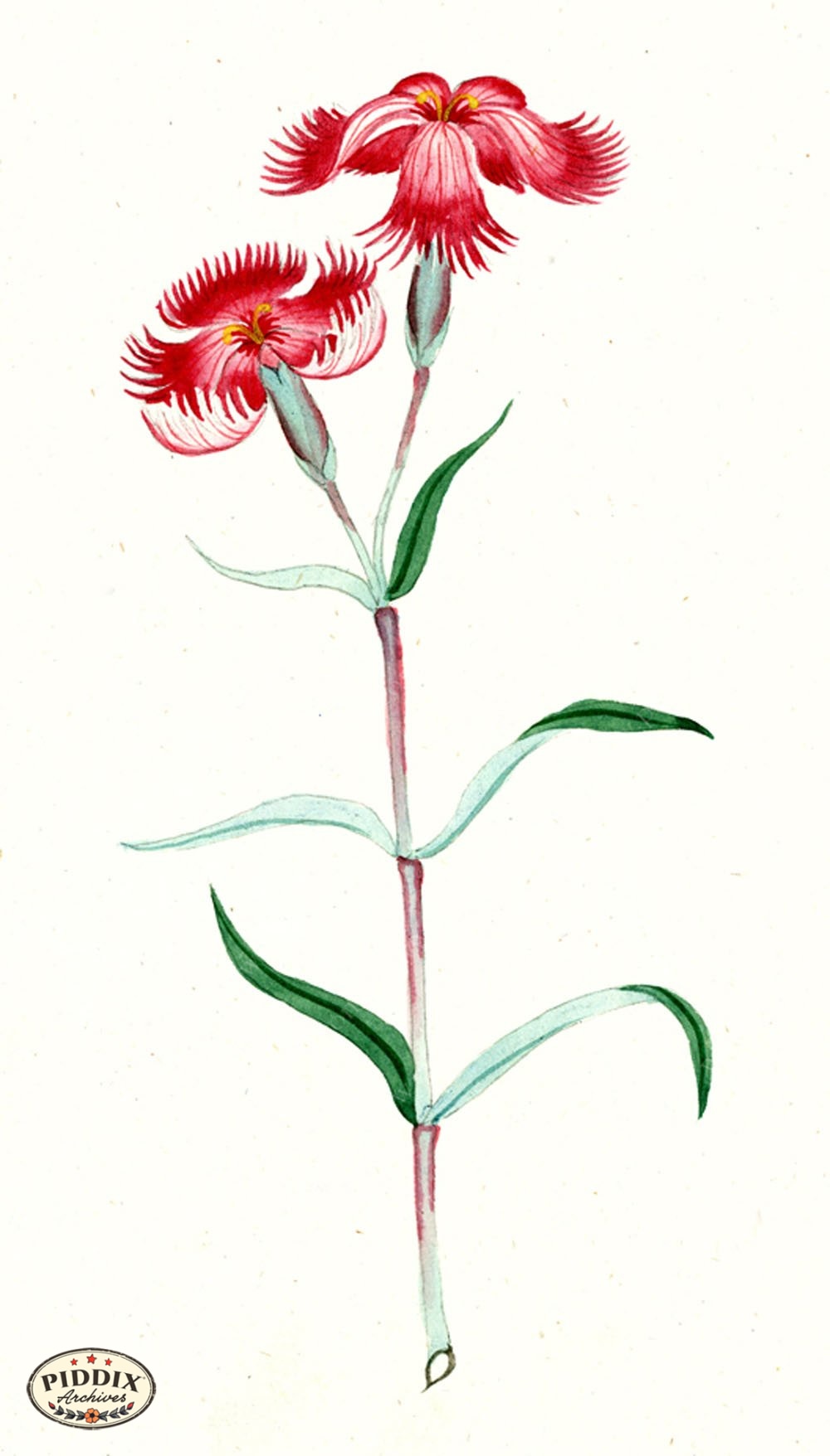 Pdxc5519 -- Japanese Watercolors Watercolor