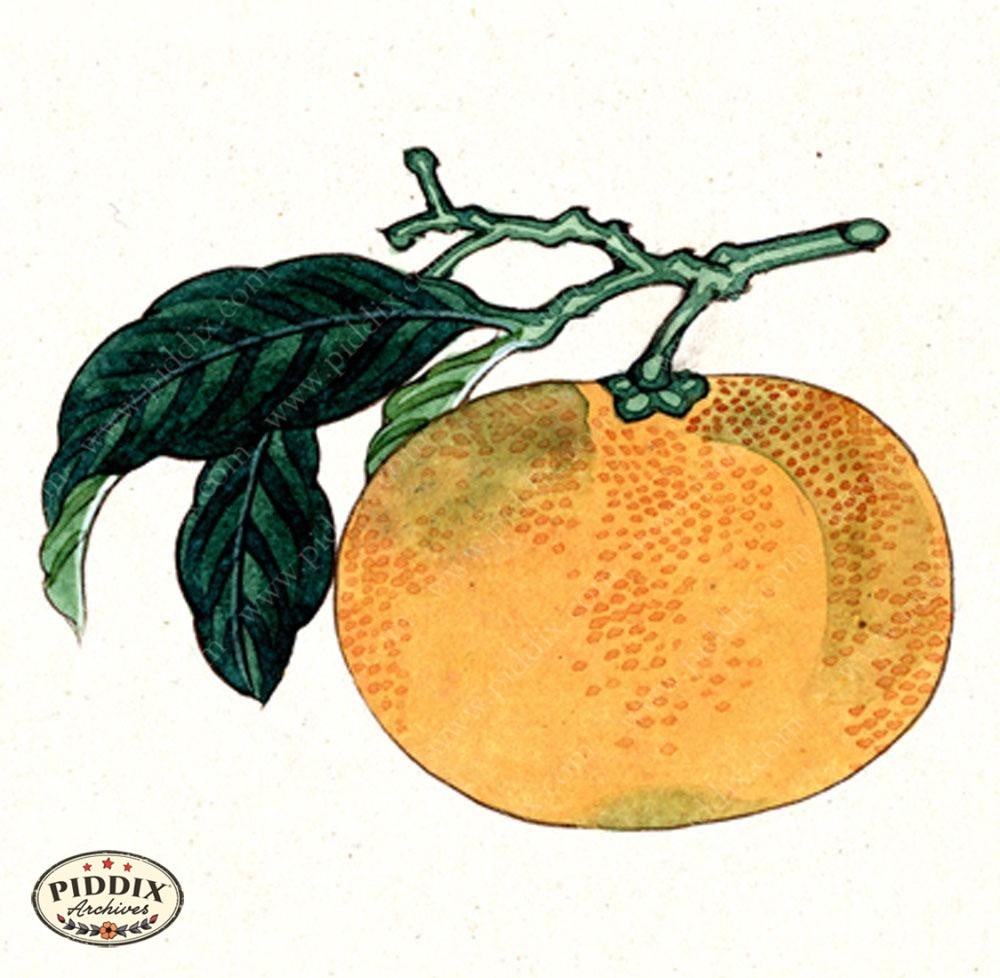 Pdxc5524 -- Japanese Watercolors Watercolor