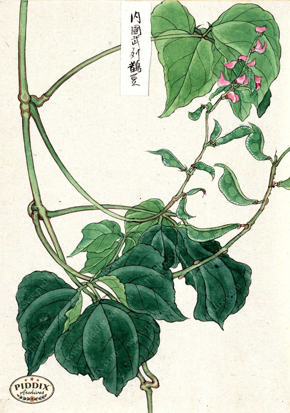 Pdxc5529 -- Japanese Watercolors Watercolor