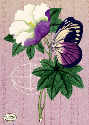 Pdxc5728 Butterfly Botanical Original Collage