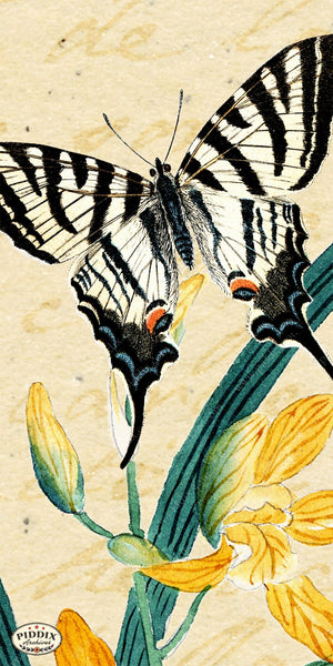 Pdxc5729 Butterfly Botanical Original Collage