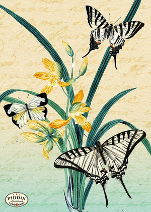 PDXC5729 Butterfly Botanical Original Collage